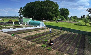 Der Gemüsegarten ist aktuell noch 500 Quadratmeter groß und soll auf das Vierfache wachsen. Hier sind Hofchefin Sandra Kreft (Mitte), ihre Tochter Lilli Kreft (vorn), Leandra Wiemann (rechts hinten) und Kira Hanna dabei, das Gemüse zu pflegen und neue Pflanzen zu setzen. Fotos: Gerald Dunkel - Gerald Dunkel Der Gemüsegarten ist aktuell noch 500 Quadratmeter groß und soll auf das Vierfache wachsen. Hier sind Hofchefin Sandra Kreft (Mitte), ihre Tochter Lilli Kreft (vorn), Leandra Wiemann (rechts hinten) und Kira Hanna dabei, das Gemüse zu pflegen und neue Pflanzen zu setzen. Fotos: Gerald Dunkel - Gerald Dunkel
