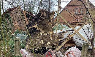 An der Sonntagstraße in Oetinghausen krachte der Baum und fiel knapp am Haus vorbei. - Yvonne Gottschlich An der Sonntagstraße in Oetinghausen krachte der Baum und fiel knapp am Haus vorbei. - Yvonne Gottschlich