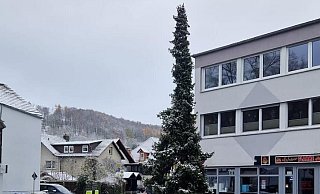 Vorher: Spott und Häme für die erste Tanne. - Sebastian Rapp Vorher: Spott und Häme für die erste Tanne. - Sebastian Rapp