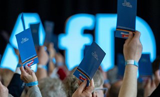 Die AfD kommt in aktuellen Umfragen auf mehr als 20 Prozent. Das wirft umso mehr die Frage nach dem Umgang mit ihr auf. - Hendrik Schmidt Die AfD kommt in aktuellen Umfragen auf mehr als 20 Prozent. Das wirft umso mehr die Frage nach dem Umgang mit ihr auf. - Hendrik Schmidt