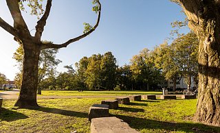 Im Riemekepark werden Arbeiten im Bereich zwischen Kolk und Kinderspielplatz durchgeführt. - (Archivbild) Lena Henning Im Riemekepark werden Arbeiten im Bereich zwischen Kolk und Kinderspielplatz durchgeführt. - (Archivbild) Lena Henning