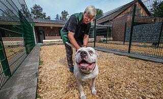 Robert heißt der American Bulldog, den der wiedergewählte Vorsitzende des Bielefelder Tierschutzvereins, Helmut Tiekötter, hier knuddelt. Der Hund ist längst vermittelt. Doch viele andere Tiere warten im Tierheim noch auf ein neues Zuhause. - Susanne Lahr Robert heißt der American Bulldog, den der wiedergewählte Vorsitzende des Bielefelder Tierschutzvereins, Helmut Tiekötter, hier knuddelt. Der Hund ist längst vermittelt. Doch viele andere Tiere warten im Tierheim noch auf ein neues Zuhause. - Susanne Lahr