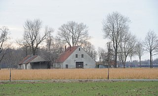 Auf dem Gelände eines früheren Bauernhofes an der Tielger Allee/Grenzweg in Oppenwehe plant ein Investor aus Geseke Bullenställe mit 599 Plätzen. - Joern Spreen-Ledebur Auf dem Gelände eines früheren Bauernhofes an der Tielger Allee/Grenzweg in Oppenwehe plant ein Investor aus Geseke Bullenställe mit 599 Plätzen. - Joern Spreen-Ledebur