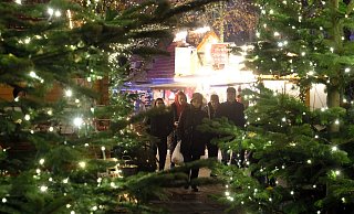 Stadt und Staatsbad halten den Weihnachtsmarkt gerade in Krisenzeiten für unverzichtbar. Dennoch will man bei der Veranstaltung Energie sparen. - Thorsten Gödecker Stadt und Staatsbad halten den Weihnachtsmarkt gerade in Krisenzeiten für unverzichtbar. Dennoch will man bei der Veranstaltung Energie sparen. - Thorsten Gödecker