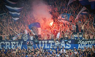 Die Furcht vor Dresdener Ausschreitungen war groß. Daneben benommen haben sich fast nur Bielefelder Fans. - Sarah Jonek Die Furcht vor Dresdener Ausschreitungen war groß. Daneben benommen haben sich fast nur Bielefelder Fans. - Sarah Jonek