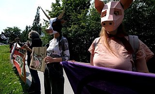 Vor allem im Sommer 2020 wurde vor dem Betriebsgelände von Tönnies immer wieder demonstriert. - Archiv/Andreas Frücht Vor allem im Sommer 2020 wurde vor dem Betriebsgelände von Tönnies immer wieder demonstriert. - Archiv/Andreas Frücht
