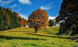 Der Herbst hält Einzug in Deutschland - doch vorher grüßt der Sommer noch kurz. - Pixabay / Couleur Der Herbst hält Einzug in Deutschland - doch vorher grüßt der Sommer noch kurz. - Pixabay / Couleur