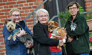 Annette Elges (mit Brandy, v. l.), Ulla Müller (mit Vermittlungshündin Dony) und Birgit Winkelmann (mit Hundeopa Willy) haben langjährige Erfahrung im Tierschutz. - Barbara Franke Annette Elges (mit Brandy, v. l.), Ulla Müller (mit Vermittlungshündin Dony) und Birgit Winkelmann (mit Hundeopa Willy) haben langjährige Erfahrung im Tierschutz. - Barbara Franke