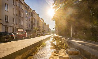 Die offengelegte Lutter ist wohl zur beliebtesten Wasser-Oase in Bielefeld geworden. Doch die Stadt hat viel mehr idyllische Orte für die Abkühlung zu bieten. - Mike-Dennis Mller / www.mdm.photo Die offengelegte Lutter ist wohl zur beliebtesten Wasser-Oase in Bielefeld geworden. Doch die Stadt hat viel mehr idyllische Orte für die Abkühlung zu bieten. - Mike-Dennis Mller / www.mdm.photo