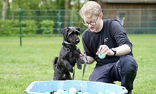 Terriermischling Frodo, hier mit Pfleger Philipp Kruse, hat ein überschäumendes Temperament und offenbar ein Faible für Bällchen. - Peter Unger Terriermischling Frodo, hier mit Pfleger Philipp Kruse, hat ein überschäumendes Temperament und offenbar ein Faible für Bällchen. - Peter Unger