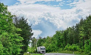 Auf einem Parkplatz in Bielefeld entdeckte der Lkw-Fahrer einen Karton mit lebendigem Inhalt. - Sabine/Pixabay Auf einem Parkplatz in Bielefeld entdeckte der Lkw-Fahrer einen Karton mit lebendigem Inhalt. - Sabine/Pixabay