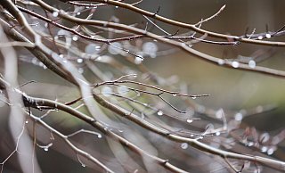 Am Freitag ist es in OWL bereits bewölkt, für das Wochenende sagt der DWD Regen voraus. - dpa Am Freitag ist es in OWL bereits bewölkt, für das Wochenende sagt der DWD Regen voraus. - dpa