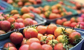 Der Markt in Schildesche wird laut den Händlern von einigen tausend Bürgern besucht. - Pixabay Der Markt in Schildesche wird laut den Händlern von einigen tausend Bürgern besucht. - Pixabay