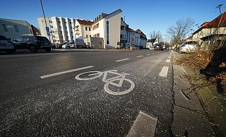 Piktogramme auf der Brunnenallee sollen kenntlich machen, dass Fahrräder auf der Straße fahren. - Gerald Dunkel Piktogramme auf der Brunnenallee sollen kenntlich machen, dass Fahrräder auf der Straße fahren. - Gerald Dunkel