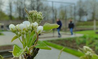 Die Landesgartenschau in Höxter erfasst jeden Tag, wie viele Besucherinnen und Besucher sich auf dem Gelände befinden. - Symbolbild: Svenja Ludwig Die Landesgartenschau in Höxter erfasst jeden Tag, wie viele Besucherinnen und Besucher sich auf dem Gelände befinden. - Symbolbild: Svenja Ludwig