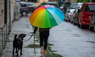 Sommer adé – hallo Herbst: Eine Frau geht bei strömenden Regen mit ihrem Hund und einem bunten Regenschirm spazieren. - Peter Kneffel Sommer adé – hallo Herbst: Eine Frau geht bei strömenden Regen mit ihrem Hund und einem bunten Regenschirm spazieren. - Peter Kneffel