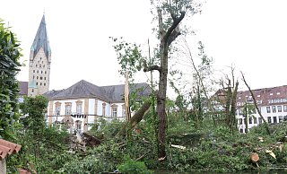 Der verwüstete Geißelsche Garten an der Stadtbibliothek am Tag nach dem Tornado. - Holger Kosbab Der verwüstete Geißelsche Garten an der Stadtbibliothek am Tag nach dem Tornado. - Holger Kosbab