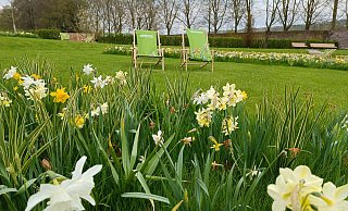 Blumenvielfalt und Erholung in einem hatte die Landesgartenschau mit den Beeten und Liegestühlen zu bieten. - LGS Höxter Blumenvielfalt und Erholung in einem hatte die Landesgartenschau mit den Beeten und Liegestühlen zu bieten. - LGS Höxter
