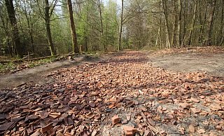 Diese Ziegelreste im Köckerwald haben Anwohner irritiert. Es gibt jedoch eine Genehmigung des Umweltamtes. - Sylvia Tetmeyer Diese Ziegelreste im Köckerwald haben Anwohner irritiert. Es gibt jedoch eine Genehmigung des Umweltamtes. - Sylvia Tetmeyer