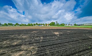 Die Fläche an der Gütersloher Straße (oben) und nahe der A33 (r.), auf der Christinen-Brunnen bauen möchte, wird heute intensiv landwirtschaftlich genutzt. - Andreas Zobe Die Fläche an der Gütersloher Straße (oben) und nahe der A33 (r.), auf der Christinen-Brunnen bauen möchte, wird heute intensiv landwirtschaftlich genutzt. - Andreas Zobe