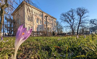 Räume im Prinzenpalais in Bad Lippspringe können nun von allen Vereinen, die im Vereinsregister der Stadt gemeldet sind, kostenfrei genutzt werden. - Fynn Müller Räume im Prinzenpalais in Bad Lippspringe können nun von allen Vereinen, die im Vereinsregister der Stadt gemeldet sind, kostenfrei genutzt werden. - Fynn Müller