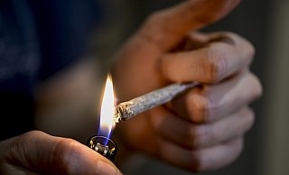 Die geplante teilweise Legalisierung von Cannabis in Deutschland hat eine weitere Hürde genommen. An diesem Freitag soll das Vorhaben im Parlament beschlossen werden. - dpa Die geplante teilweise Legalisierung von Cannabis in Deutschland hat eine weitere Hürde genommen. An diesem Freitag soll das Vorhaben im Parlament beschlossen werden. - dpa