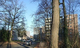 In einem dieser Hochhäuser ereignete sich der Unglücksfall. - (Archivbild): Karsten Schulz In einem dieser Hochhäuser ereignete sich der Unglücksfall. - (Archivbild): Karsten Schulz