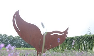 Hier taucht der Wal von Hans Kordes im Lavendelfeld ab. - Burkhard Battran Hier taucht der Wal von Hans Kordes im Lavendelfeld ab. - Burkhard Battran