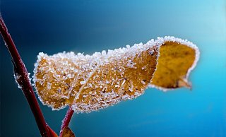 Auch in der Nacht soll es weiter sehr kalt bleiben. - (Symbolbild): Pixabay Auch in der Nacht soll es weiter sehr kalt bleiben. - (Symbolbild): Pixabay