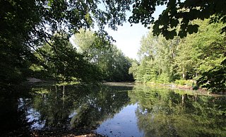 Der Buttersee in Herfords Nordstadt soll eingezäunt werden. - Susanne Barth Der Buttersee in Herfords Nordstadt soll eingezäunt werden. - Susanne Barth