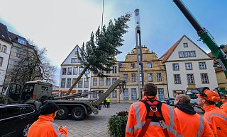 Der Weihnachtsmarkt auf dem Alten Markt ist zehn Meter hoch. - Andreas Zobe Der Weihnachtsmarkt auf dem Alten Markt ist zehn Meter hoch. - Andreas Zobe