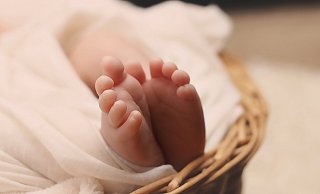 In den vergangenen Wochen sind in Höxter acht Neugeborene zur Welt gekommen. - Pixabay (Symbolbild) In den vergangenen Wochen sind in Höxter acht Neugeborene zur Welt gekommen. - Pixabay (Symbolbild)