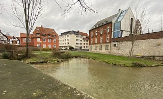 Auch im Bereich der Dielenpader plant die Stadt eine Anpflanzung einer großen Zelkova, ein Ulmengewächs, im Hochbeet (hinten) an der Hathumarstraße und am Kardinal-Degenhardt-Platz. Hier waren ebenfalls Bäume vom Tornado 2022 betroffen. - Marc Schröder Auch im Bereich der Dielenpader plant die Stadt eine Anpflanzung einer großen Zelkova, ein Ulmengewächs, im Hochbeet (hinten) an der Hathumarstraße und am Kardinal-Degenhardt-Platz. Hier waren ebenfalls Bäume vom Tornado 2022 betroffen. - Marc Schröder