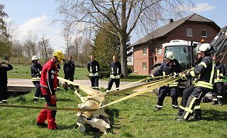 Mit vereinten Kräften: Mit dieser Gurt-Technik können die Kameraden das Tier von seiner linken auf die rechte Seite drehen. Fotos: Saskia Jochheim - Saskia Jochheim Mit vereinten Kräften: Mit dieser Gurt-Technik können die Kameraden das Tier von seiner linken auf die rechte Seite drehen. Fotos: Saskia Jochheim - Saskia Jochheim