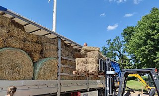 Drei Lastwagen mit insgesamt rund 50 Tonnen Stroh und Heu machten am Dienstag nach Erftstadt auf. Nico Lehmann hatte die Idee zu der Hilfsaktion. - Privat Drei Lastwagen mit insgesamt rund 50 Tonnen Stroh und Heu machten am Dienstag nach Erftstadt auf. Nico Lehmann hatte die Idee zu der Hilfsaktion. - Privat