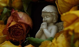 Teilweise sind von den Gräbern Grableuchten und Vasen gestohlen worden. - Pixabay (Themenbild) Teilweise sind von den Gräbern Grableuchten und Vasen gestohlen worden. - Pixabay (Themenbild)