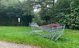 Der Zugang zum Verler See (hinten) von der Grillenstraße ist eigentlich idyllisch – wenn dort nicht die Einkaufswagen stehen würden. - Markus Voss Der Zugang zum Verler See (hinten) von der Grillenstraße ist eigentlich idyllisch – wenn dort nicht die Einkaufswagen stehen würden. - Markus Voss