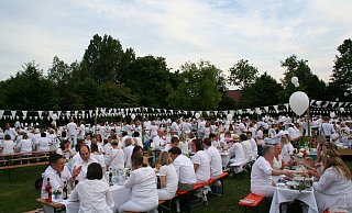 Ausverkauft: Rund 1.400 Menschen kamen nach der langen Corona-Pause wieder zum Dinner in Weiß. - Johannes Büttner Ausverkauft: Rund 1.400 Menschen kamen nach der langen Corona-Pause wieder zum Dinner in Weiß. - Johannes Büttner