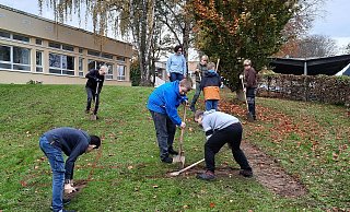 Ein Logo aus Frühblühern gestalten die Schüler der Gesamtschule Brakel. - Gesamtschule Brakel Ein Logo aus Frühblühern gestalten die Schüler der Gesamtschule Brakel. - Gesamtschule Brakel