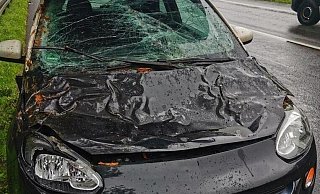 Motorhaube und Windschutzscheibe haben einiges abbekommen. Aber auch um das Innenleben des Motorraums ist es nicht mehr gut bestellt. - Lena Lutze Motorhaube und Windschutzscheibe haben einiges abbekommen. Aber auch um das Innenleben des Motorraums ist es nicht mehr gut bestellt. - Lena Lutze