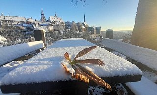 Vielleicht sieht es ja zu Weihnachten in OWL wieder so weiß aus wie am vergangenen Wochenende in Warburg. - Simone Flörke Vielleicht sieht es ja zu Weihnachten in OWL wieder so weiß aus wie am vergangenen Wochenende in Warburg. - Simone Flörke