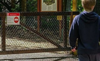 Braucht der Tierpark auch nach Corona einen Zaun? Die Politiker wollen ihn eher offen halten. - Andreas Zobe Braucht der Tierpark auch nach Corona einen Zaun? Die Politiker wollen ihn eher offen halten. - Andreas Zobe