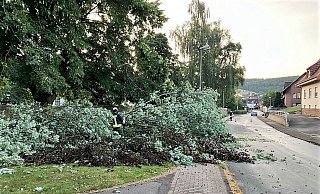 An der Mühlenstraße Ecke Kreisstraße in Brenkhausen musste am Montagabend wegen eines Sturms ein Baum gefällt werden. - Feuerwehr Höxter An der Mühlenstraße Ecke Kreisstraße in Brenkhausen musste am Montagabend wegen eines Sturms ein Baum gefällt werden. - Feuerwehr Höxter