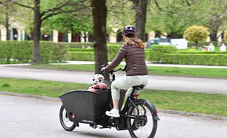 Immer mehr Menschen entdecken Lastenfahrräder als ein alternatives Transportmittel. Auch viele Städte unterstützen deren Anschaffung - jetzt auch Rheda-Wiedenbrück. - picture alliance / SvenSimon Immer mehr Menschen entdecken Lastenfahrräder als ein alternatives Transportmittel. Auch viele Städte unterstützen deren Anschaffung - jetzt auch Rheda-Wiedenbrück. - picture alliance / SvenSimon