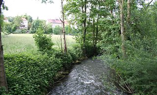 Der Bereich hinter dem Lustgarten ist für die Renaturierung vorgesehen. Eigentümerin des Geländes ist die NRW-Stiftung. - Johannes Büttner Der Bereich hinter dem Lustgarten ist für die Renaturierung vorgesehen. Eigentümerin des Geländes ist die NRW-Stiftung. - Johannes Büttner