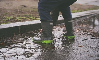 Die Böden in Bielefeld sind völlig aufgeweicht nach dem Dauerregen. - Symbolfoto Die Böden in Bielefeld sind völlig aufgeweicht nach dem Dauerregen. - Symbolfoto
