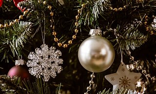 Der Renner im Weihnachtsbaumgeschäft ist der Nordmann. Er duftet zwar nicht, dafür hat er weiche Nadeln, die nicht piksen. - Pixabay Der Renner im Weihnachtsbaumgeschäft ist der Nordmann. Er duftet zwar nicht, dafür hat er weiche Nadeln, die nicht piksen. - Pixabay