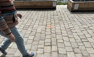 Orangefarbene Spur: Die Blüten entlang der Weserpromenade - rechts der Brücke - führen Besucherinnen und Besucher laut LGS vom Parkplatz kleine Pause bis zum Haupteingang Weserpromenade. - Ralf T. Mischer Orangefarbene Spur: Die Blüten entlang der Weserpromenade - rechts der Brücke - führen Besucherinnen und Besucher laut LGS vom Parkplatz kleine Pause bis zum Haupteingang Weserpromenade. - Ralf T. Mischer
