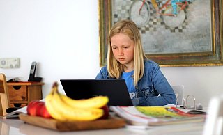 Das Homeschooling verlangt Schülerinnen und Schülern einiges ab. Viele Eltern beschreiben es als "reines Chaos". - Pixabay Das Homeschooling verlangt Schülerinnen und Schülern einiges ab. Viele Eltern beschreiben es als "reines Chaos". - Pixabay