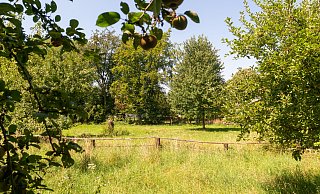 Blick vom Steinsieksbach nach Westen: Hier möchte ein Anlieger gerne bauen. Die Stadt will ihm das wegen der Gefahr der Überflutung bei extremen Wetterbedingungen aber nicht erlauben. - Ralf Bittner Blick vom Steinsieksbach nach Westen: Hier möchte ein Anlieger gerne bauen. Die Stadt will ihm das wegen der Gefahr der Überflutung bei extremen Wetterbedingungen aber nicht erlauben. - Ralf Bittner